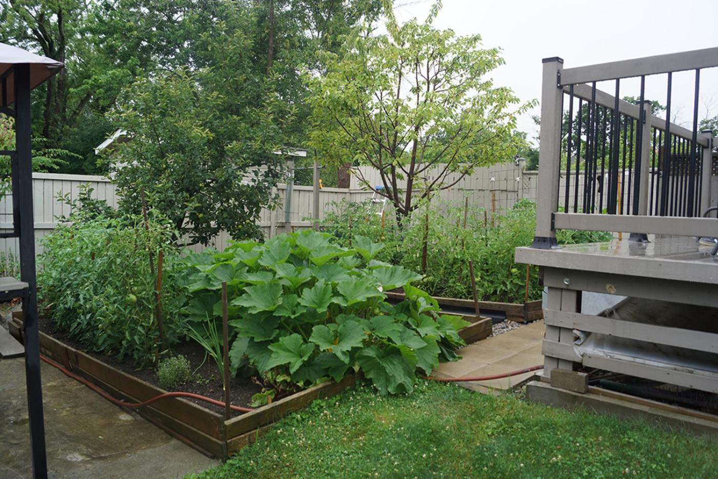 Pelican Guest House. Village Style Living. Spend Vacation Time In Eco Place! Fort Erie Extérieur photo